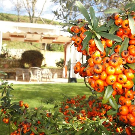Hôtel Agriturismo Le Valli à Acuto Extérieur photo